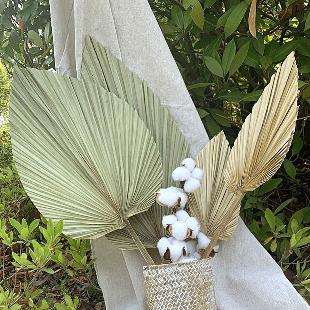 Palm Leaf Dried - 1Pcs Dekorasi Dinding Daun Palem Kering