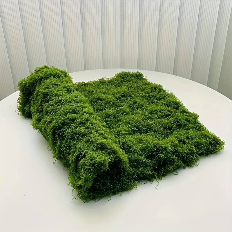 Preserved Moss Sheet - Matras Lumut Palsu 20' X 20'