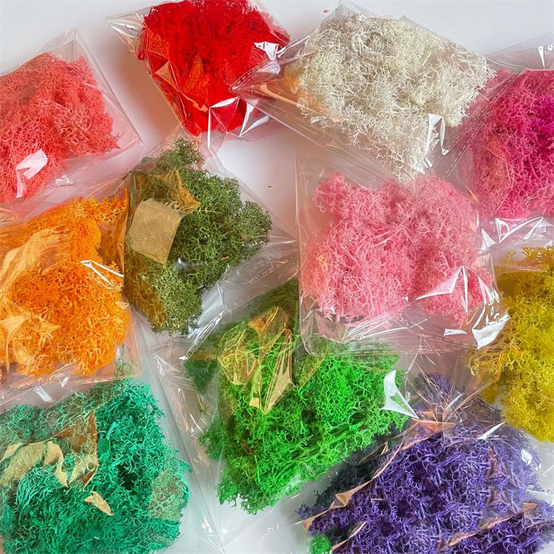 Preserved Moss Sheet - 20-200G Tanaman Hijau Buatan Poliester Rumput