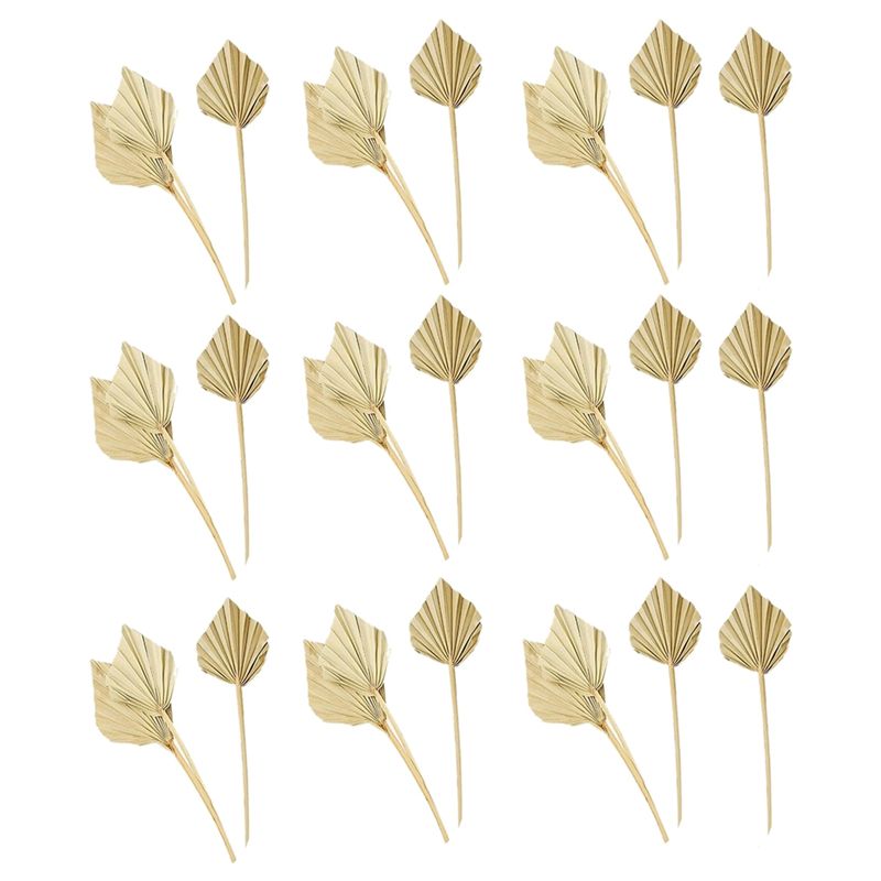 Palm Leaf Dried - A36T-30 Pcs Kipas Daun Palem Kering