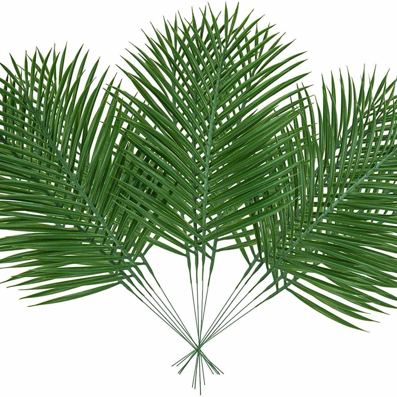 Tanaman Tropis palsu dekorasi, - Palm Leaf Dried ulasan dan harga