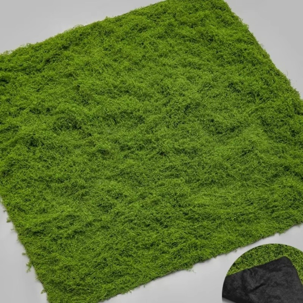 Karpet Rumput Buatan DIY Tahan - Preserved Moss Sheet ulasan dan harga