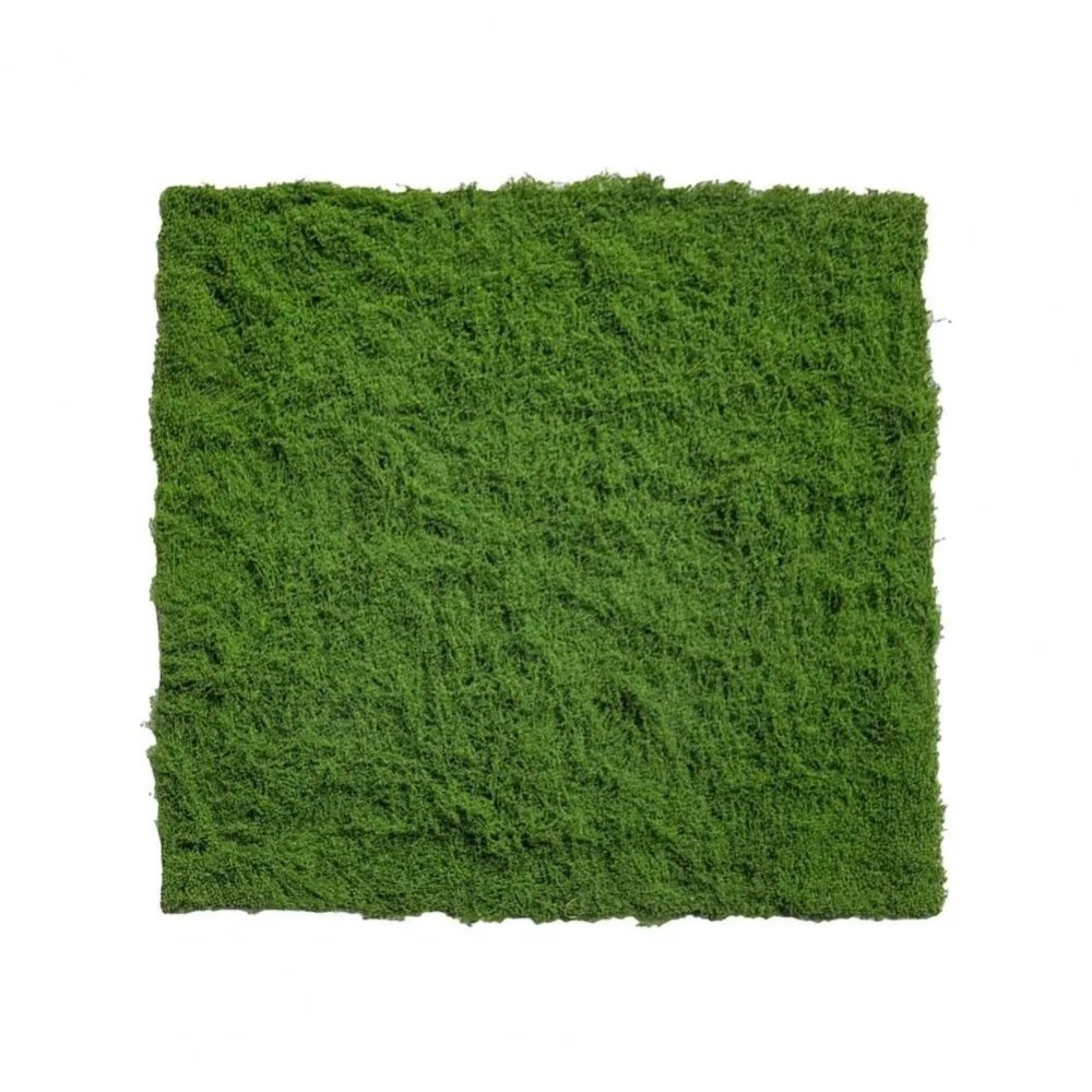 Karpet Rumput Buatan DIY Tahan - Preserved Moss Sheet ulasan dan harga