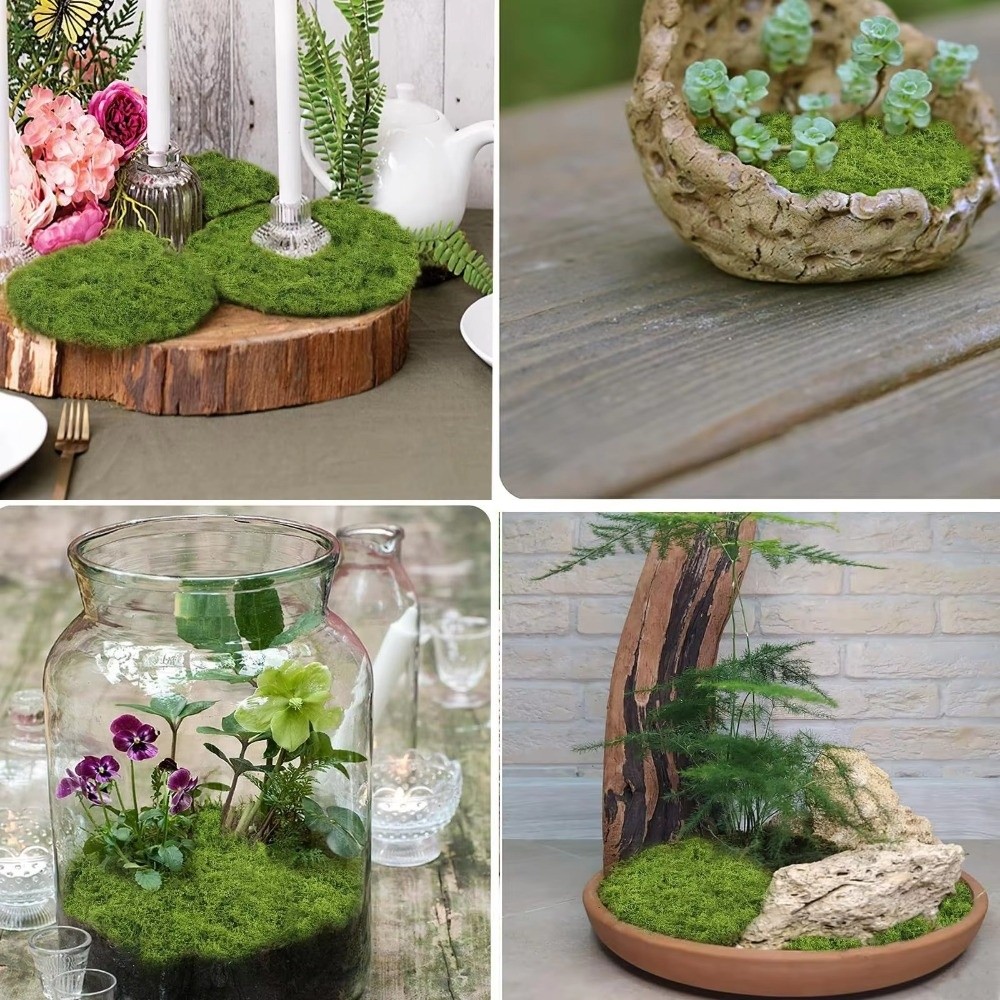 Karpet Rumput Buatan DIY Tahan - Preserved Moss Sheet ulasan dan harga