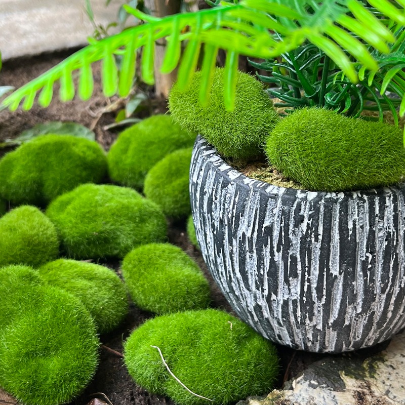 100/5 Buah Batu Lumut Buatan B - Preserved Moss Sheet ulasan dan harga