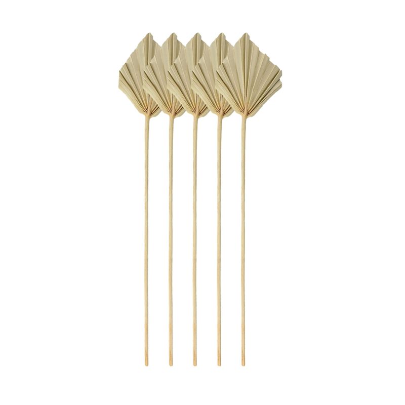 A67P-Boho Daun Palem Kering Ke - Palm Leaf Dried ulasan dan harga