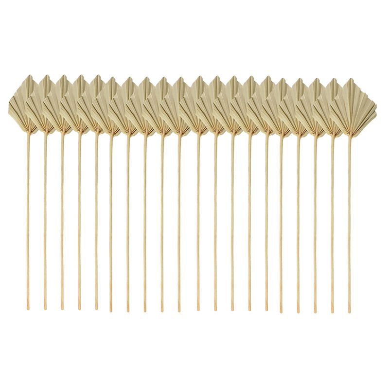 ABYN-Boho Daun Palem Kering Ke - Palm Leaf Dried ulasan dan harga