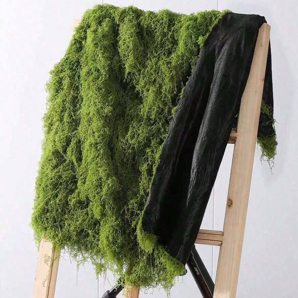 1*1M Lumut Palsu DIY Kerajinan - Preserved Moss Sheet ulasan dan harga