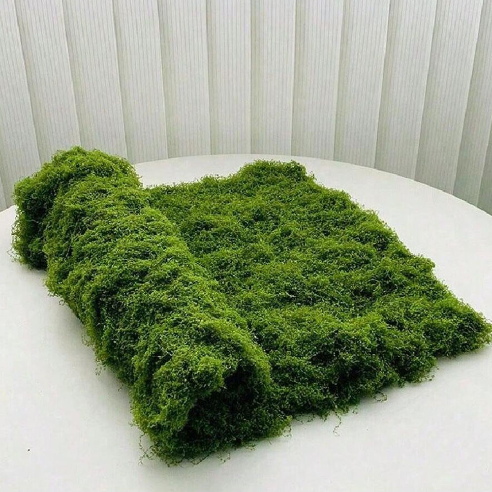 1*1M Lumut Palsu DIY Kerajinan - Preserved Moss Sheet ulasan dan harga