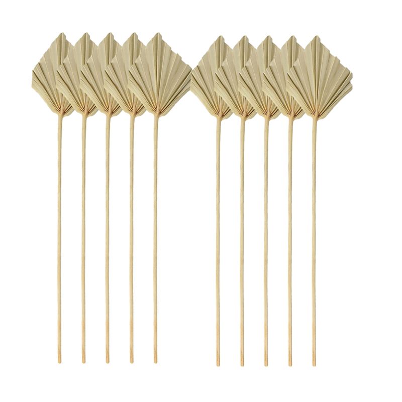 TFORU-Boho Daun Palem Kering K - Palm Leaf Dried ulasan dan harga